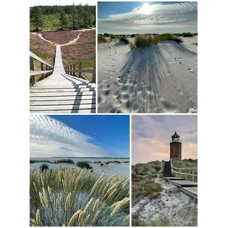 Nero Comfortable * Niebüll