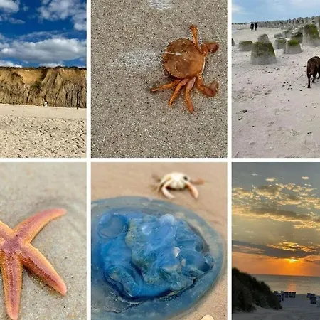 Feriehus Nero Comfortable