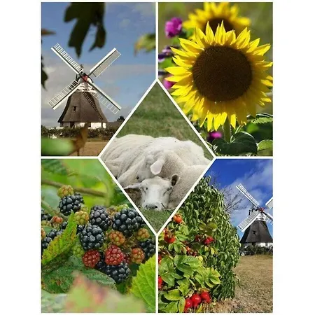 Vakantiehuis Nero Comfortable *