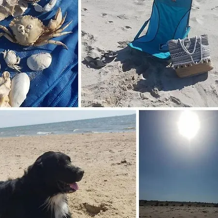 Vakantiehuis Nero Comfortable Niebüll