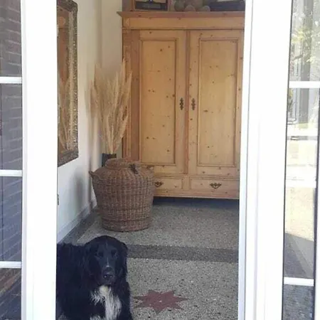 Vakantiehuis Nero Comfortable *