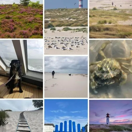 Nero Comfortable * Niebüll