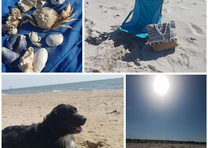 펜션 Nero Comfortable